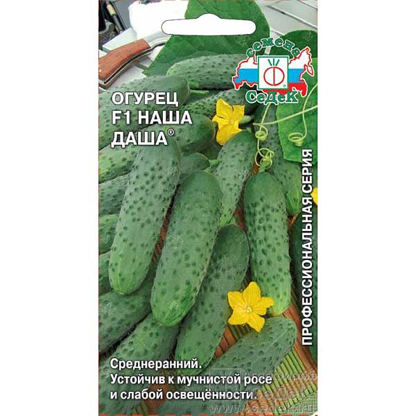 Огурец Наша Даша Седек Ц
