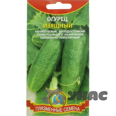 Огурец Изящный Плазма Ц