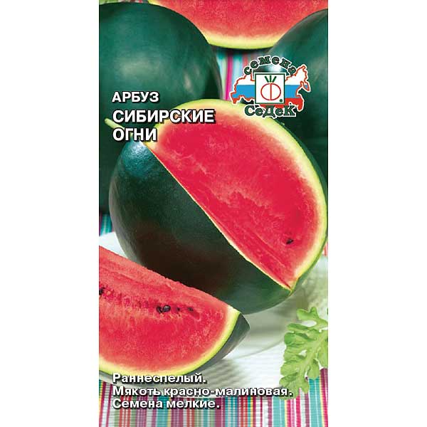 Арбуз Сибирские огни Седек Ц