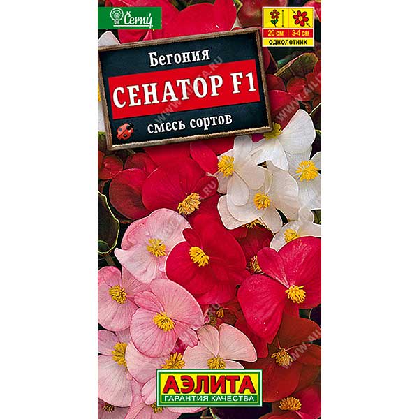 КОМ Бегония Сенатор вечноцв. смесь  Аэлита Ц 
