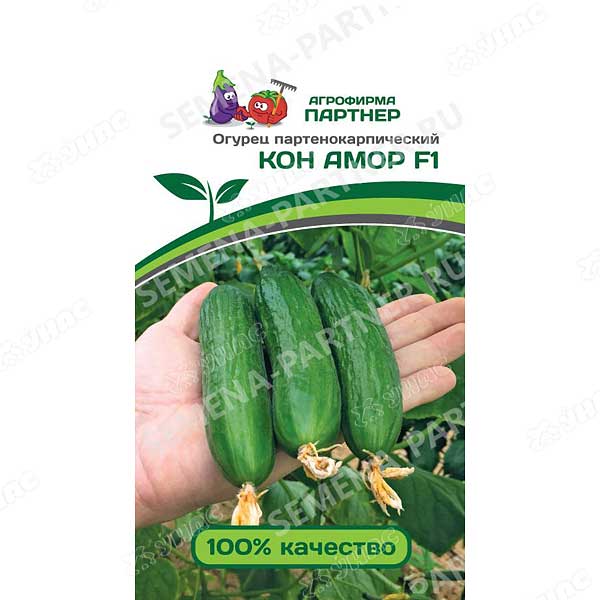 Огурец Кон Амор Партнер Ц