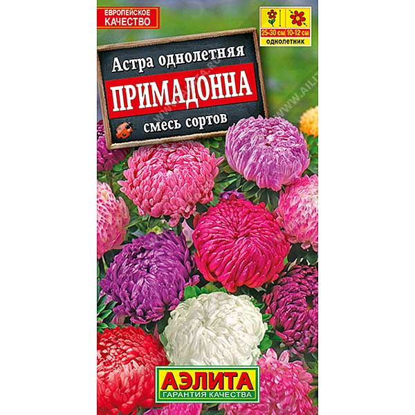 Астра Примадонна Аэлита Ц 