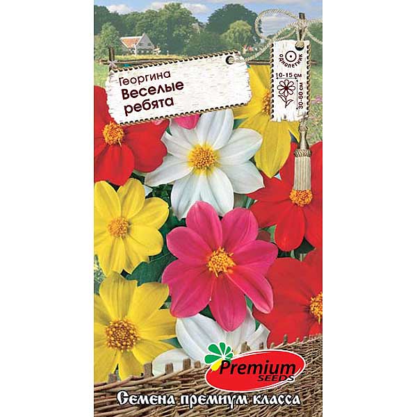 Семена Георгина Веселые ребята Премиум Сидс Ц 