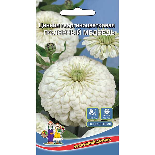 Циния Полярный медведь Марс Ц 