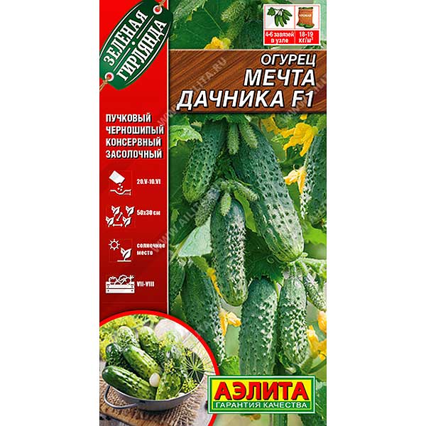 Огурец Мечта дачника Аэлита Ц