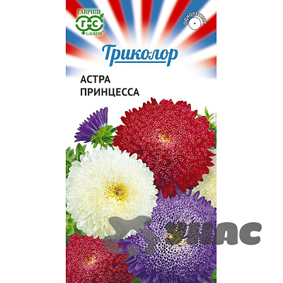 Астра Принцесса  Триколор  Гавриш Ц 
