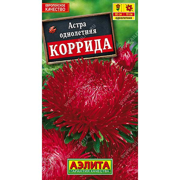 Астра Коррида коготковая Аэлита Ц 