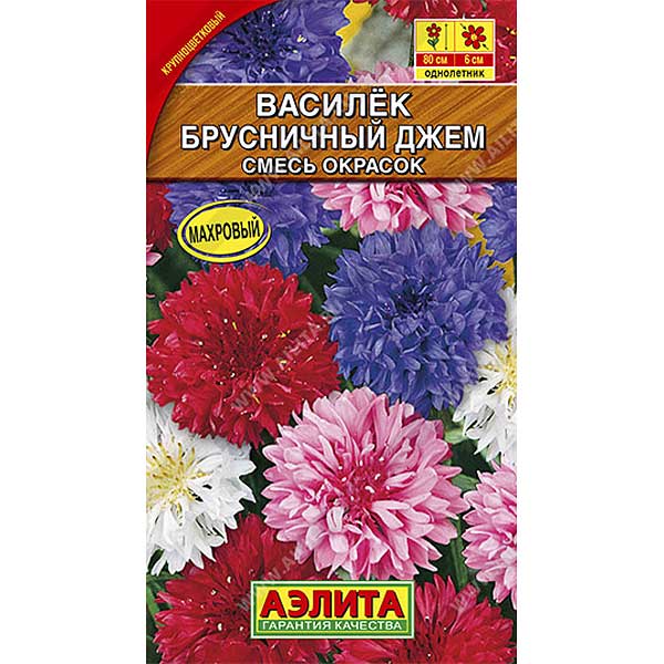 Василек махровый Брусничный джем смесь Аэлита Ц 