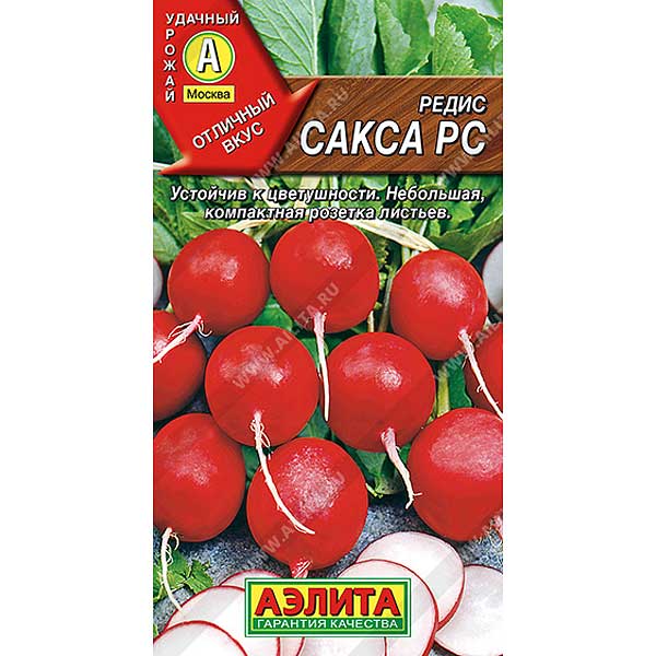 Редис Сакса Аэлита Ц