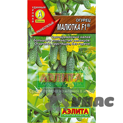 Огурец Малютка Аэлита Ц
