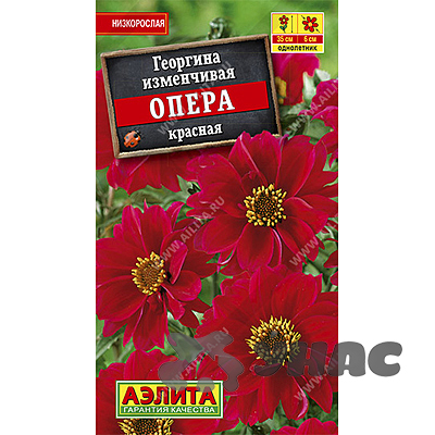 Георгин Опера Красный махров Аэлита Ц 
