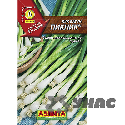 Лук батун Пикник Аэлита Ц