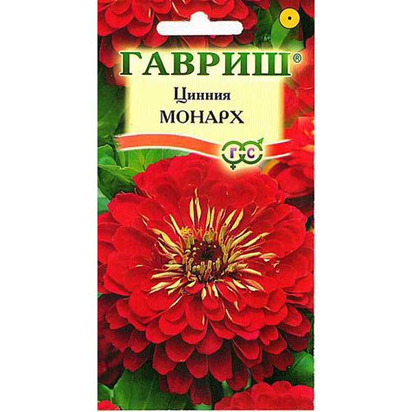 Циния Монарх Гавриш Ц 