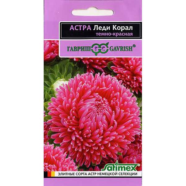 Астра Леди Корал Темно-красная (эксклюзив) Гавриш Ц 