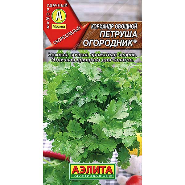 Кориандр Петруша огородник Аэлита Ц