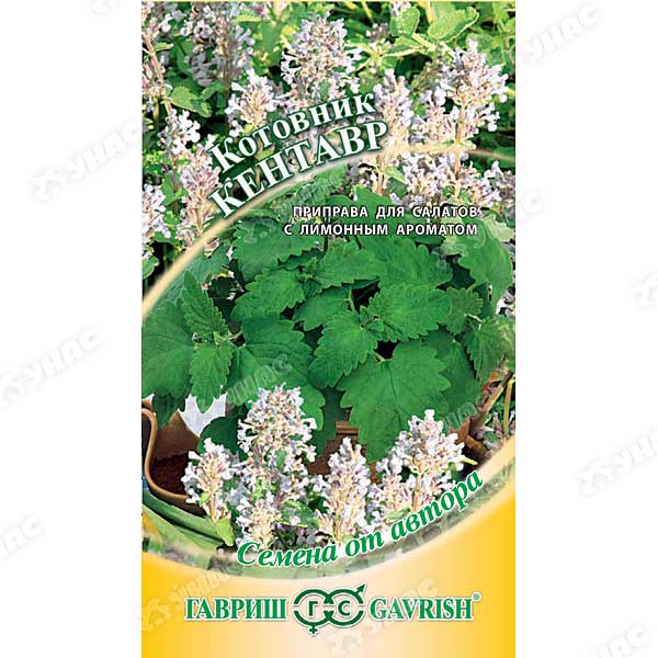 Котовник Кентавр Гавриш Ц 