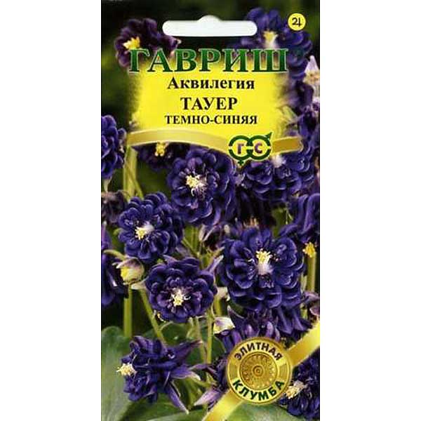 Аквилегия Тауер темно-синяя Гавриш Ц 