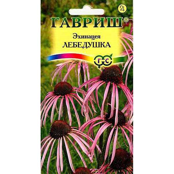 Эхинацея Лебедушка Гавриш Ц 
