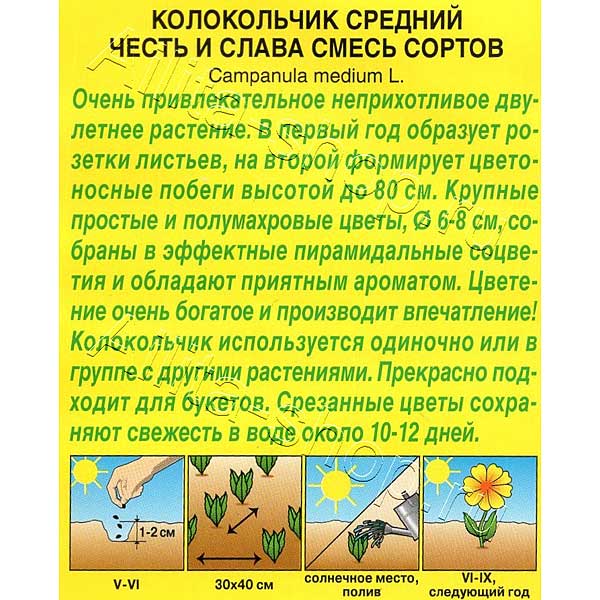 Колокольчик Честь и слава Аэлита Ц 