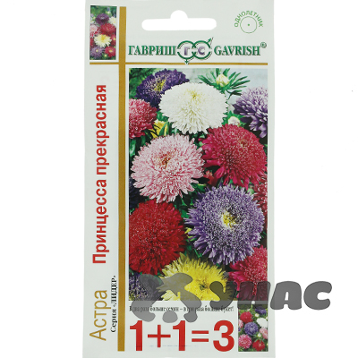 Астра Принцесса прекрасная 1+1 Гавриш Ц 