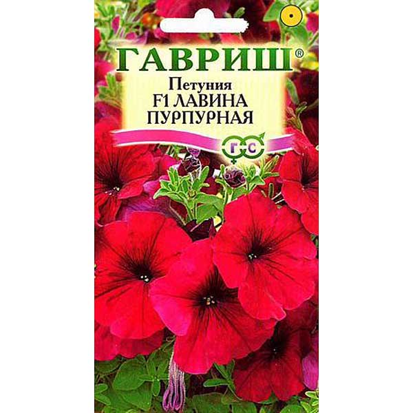 Петуния Лавина Пурпурная Гавриш Ц 