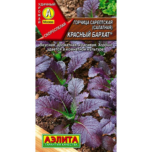 Горчица Красный бархат листовая Аэлита Ц x10