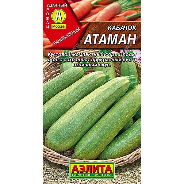 Кабачок Атаман цукини Аэлита Ц