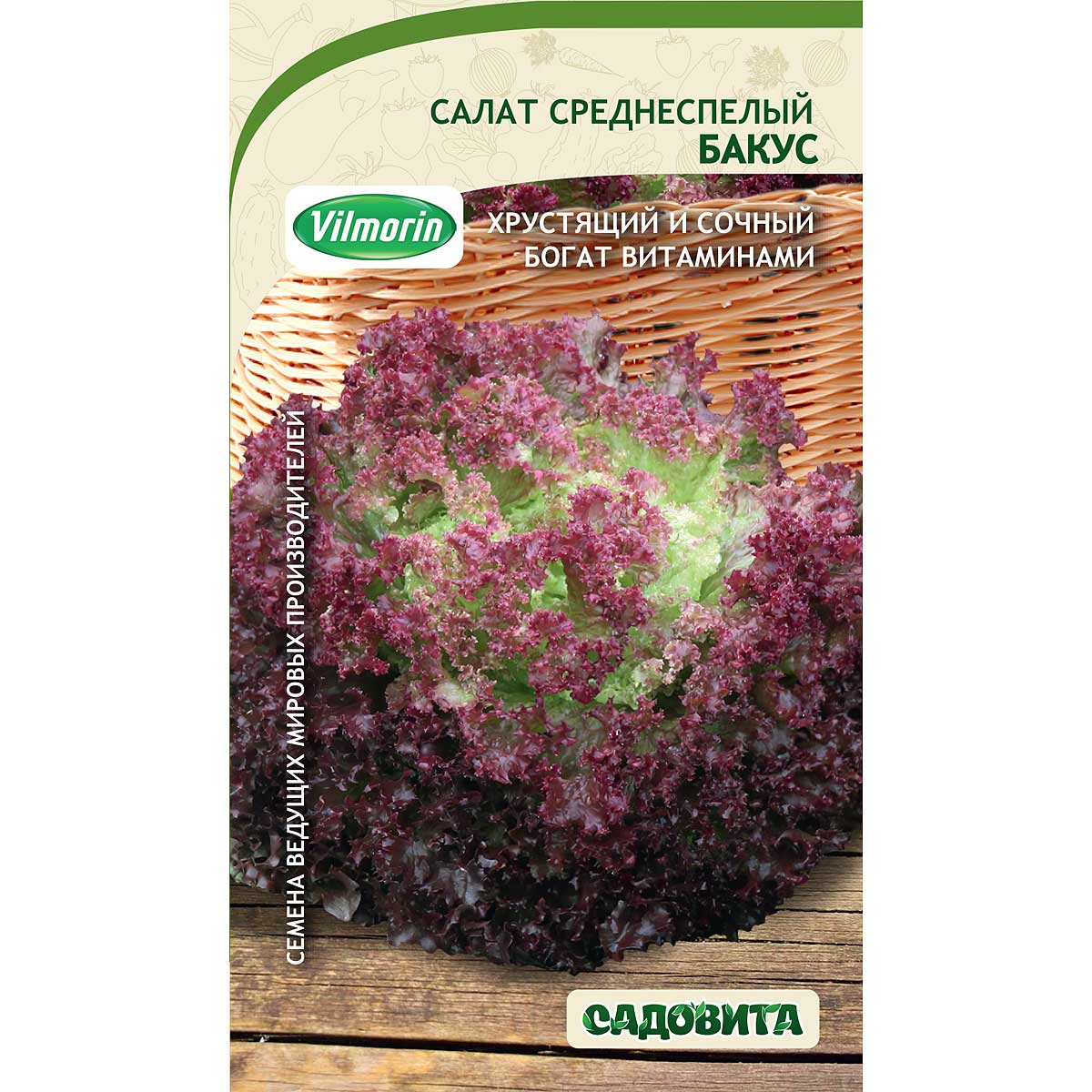 Бакус