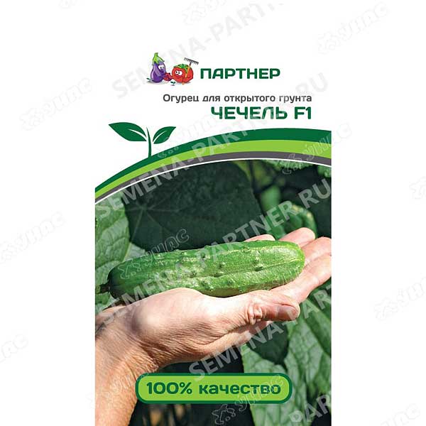 Огурец Чечель Партнер Ц