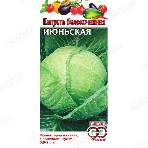 Капуста Июньская Гавриш Ц