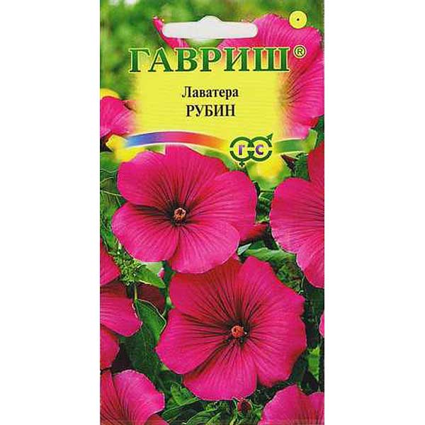 Лаватера Рубин Гавриш Ц 
