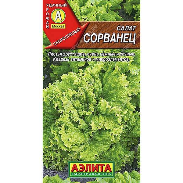 Салат Сорванец листовой Аэлита Ц
