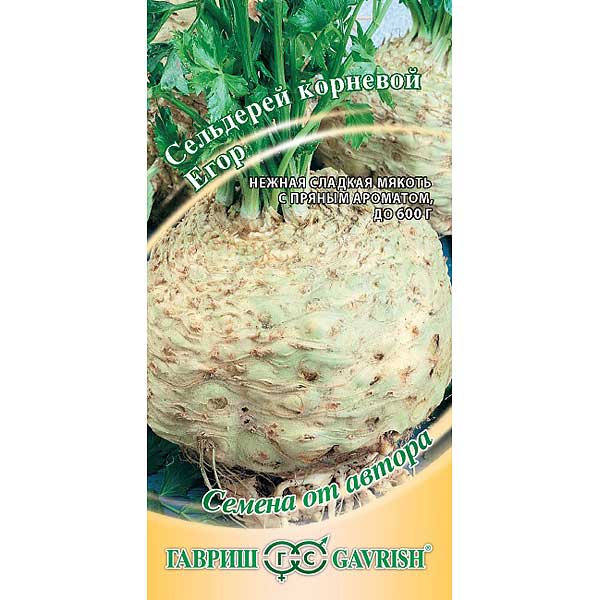 Сельдерей корневой Егор Гавриш Ц