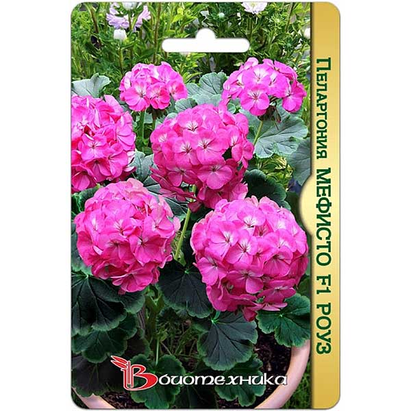 Пеларгония Мефисто Роуз Биотехника Ц 