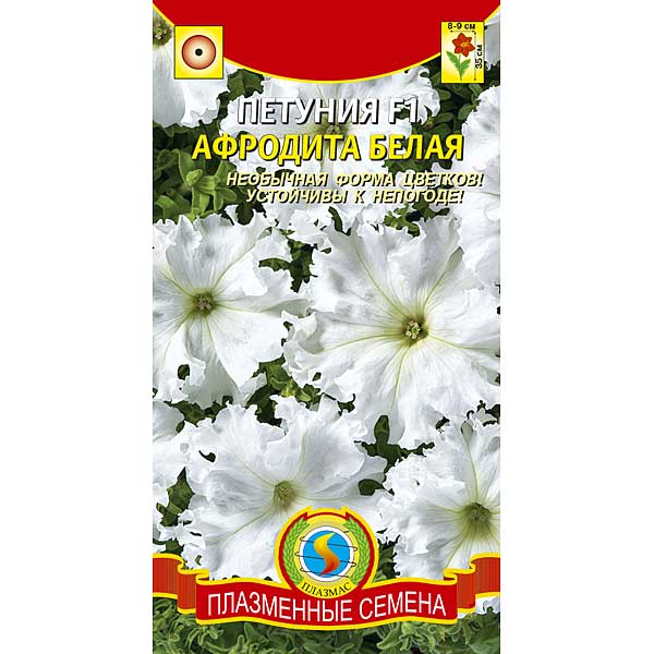 Петуния Афродита Белая Плазма Ц 
