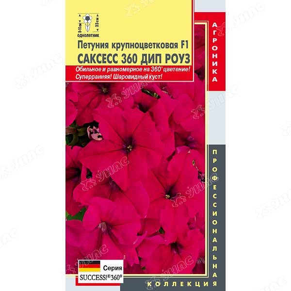 Петуния Саксесс 360 Дип роуз Плазма Ц 