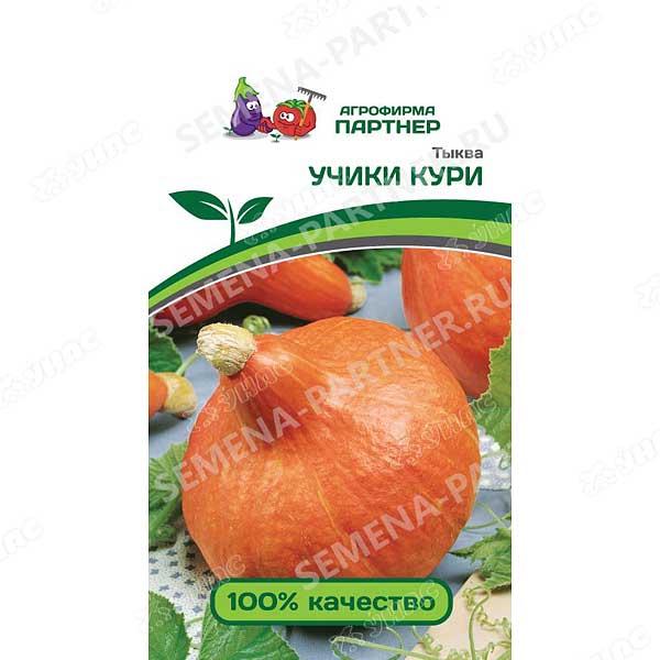 Тыква Учики Кури Партнер Ц