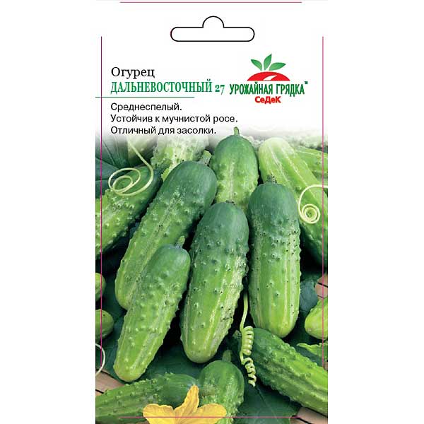 Огурец Дальневосточный Седек Ц