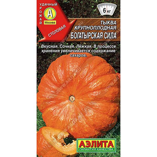 Тыква Богатырская сила крупноплодная Аэлита Ц