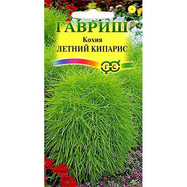 Кохия Летний кипарис Гавриш Ц