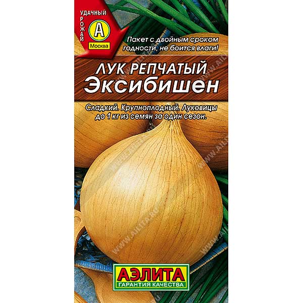 Лук Эксибишен Аэлита Ц – купить семена оптом