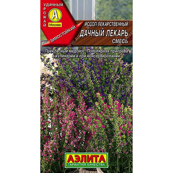 Иссоп Дачный лекарь Аэлита Ц
