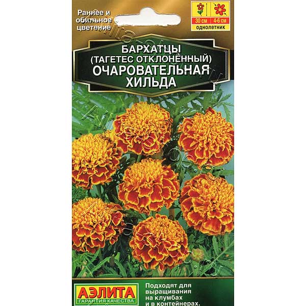 Бархатцы Очаровательная Хильда Аэлита Ц 