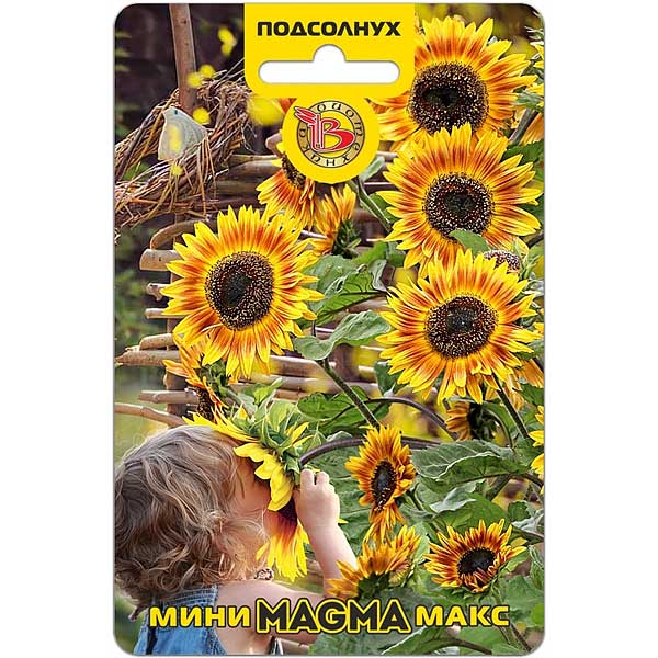 Семена Подсолнух Мини-Макс Магма срезочный Биотехника Ц 