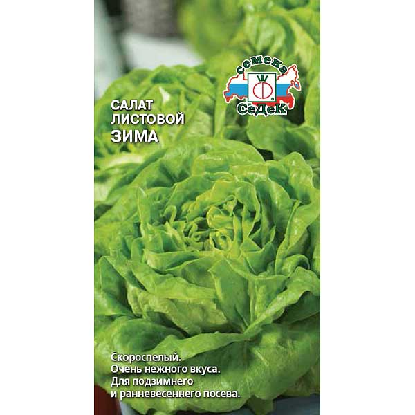 Салат Зима листовой Седек Ц