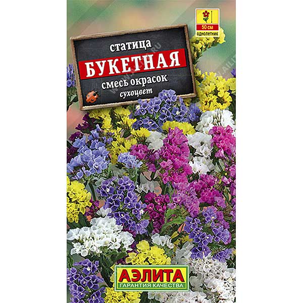 Статица букетная смесь фото