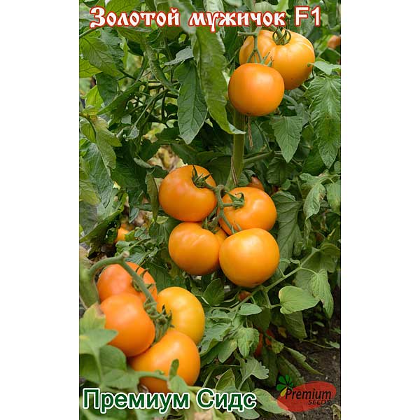 Томат Золотой мужичок F1 Премиум Сидс