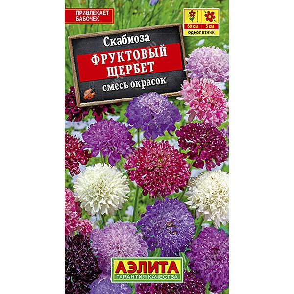 Скабиоза Фруктовый щербет махр. смесь  Аэлита Ц 