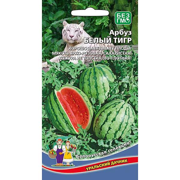 Арбуз Белый тигр Марс Ц
