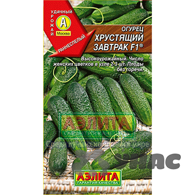 Огурец Хрустящий завтрак Аэлита Ц